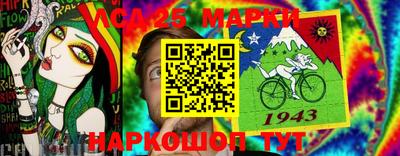 гидра Будённовск