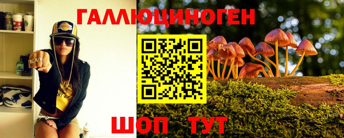 Галлюциногенные грибы Psilocybe  Вход с VPN  где продают   Армавир 